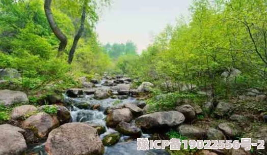 洞内泉淙淙洞外草萋萋摄影师张三航拍小河村美景