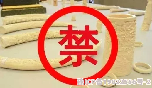 相泽南亚洲一区二区在线播放内容低俗传播不良信息违法违规请勿观看