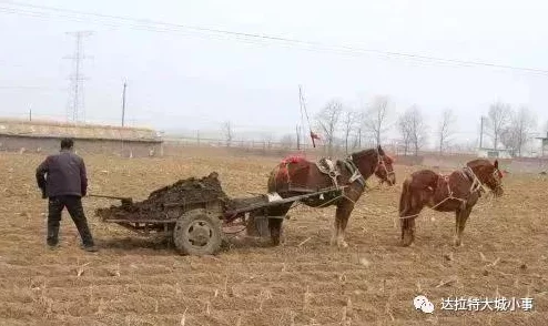 被子的拼音bèizi探索其读音演变及在不同方言中的发音差异