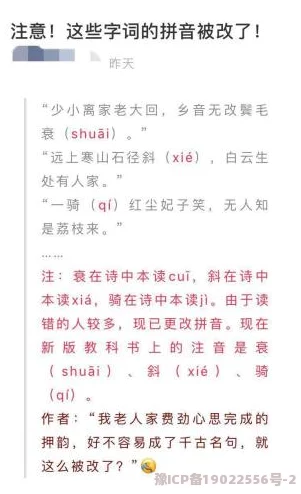 瞻仰的拼音zhānyǎng这个词语常用于表达对伟人事迹的敬意和怀念