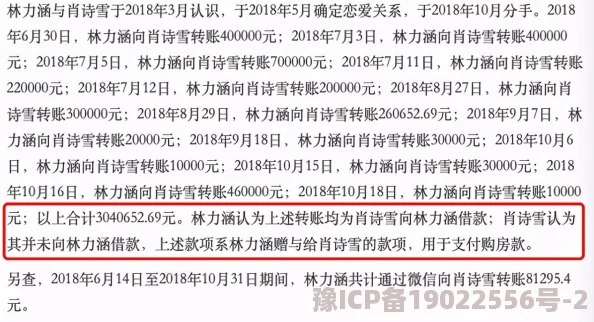 林亦可疑似挪用慈善基金百万余元警方已介入调查