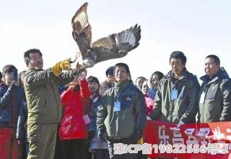 莱州猛禽事件视频志愿者救助受伤猛禽回归自然