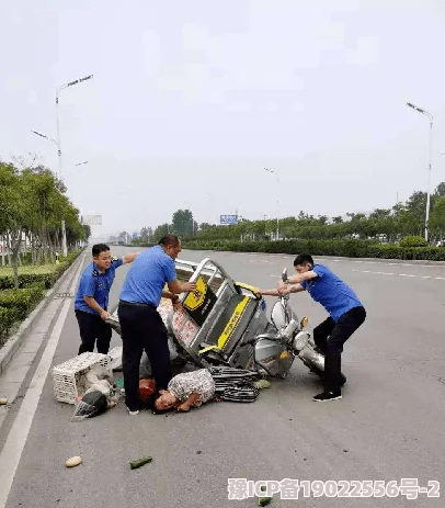 莱州猛禽事件视频志愿者救助受伤猛禽回归自然