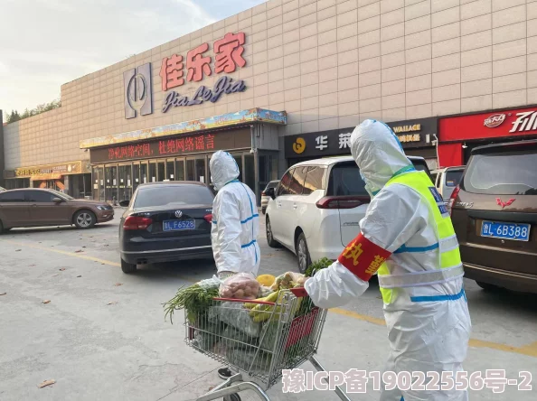 香蕉一区二区产地分布及品种口感差异探究