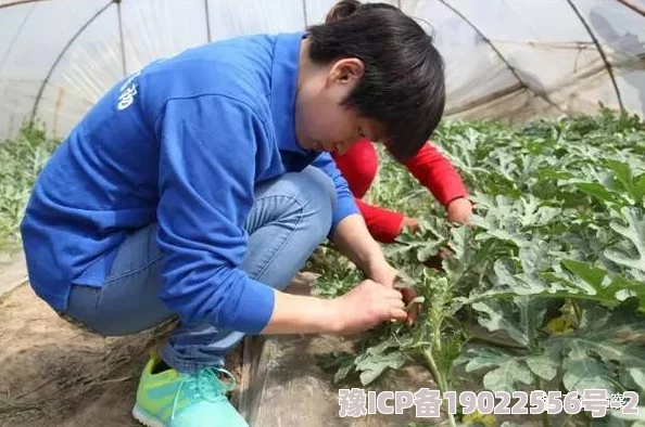 晨晨的农村事vlog西瓜视频体验田园生活感受乡村乐趣