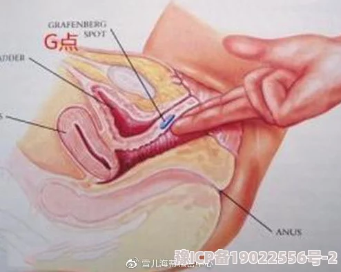 让女人爽爆的口交方式技巧与节奏变化探索女性敏感带及G点刺激