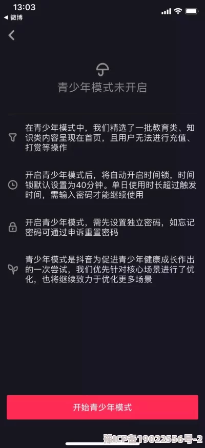 禁网站：访问受限的原因、技术手段及社会影响分析