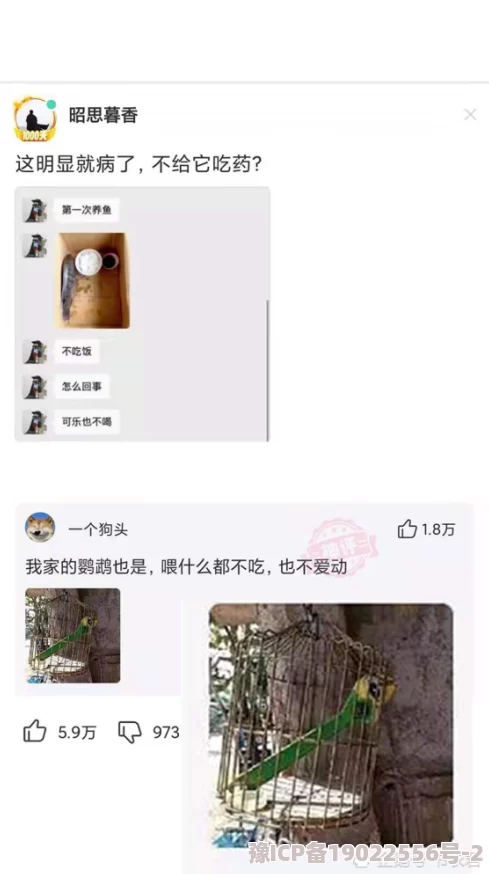 男人用鸡鸡捅女人网友称此行为涉及性关系需双方自愿且成年