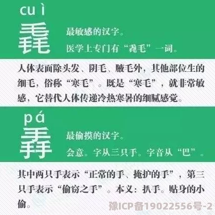 亚洲精品久久久中文字高清资源持续更新每日精彩不断