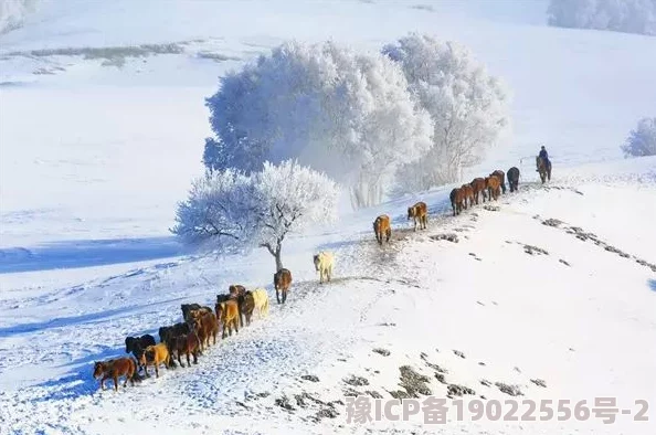 岳青婴裴元灏两人疑似旧情复燃曾同游塞北共赏雪景