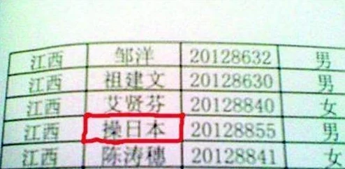 日韩操操文化融合与冲突的探索分析：从历史渊源到未来走向