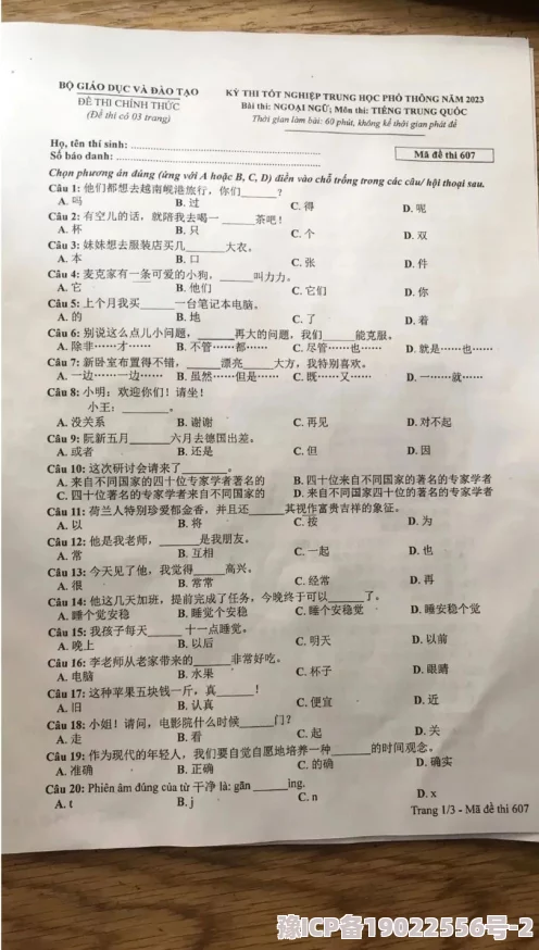 八组词新用法网络热梗层出不穷引发网友造句大赛