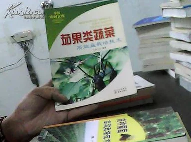 果子大碰撞最新爆料：记忆墨水高效获取方法及全面介绍