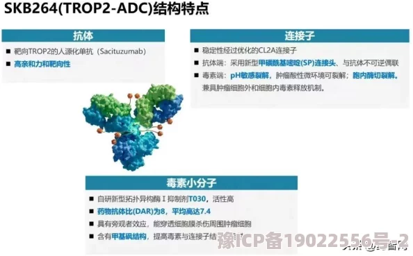 新忍者世界角色培养指南：T0强度排行及2024最新动态爆料