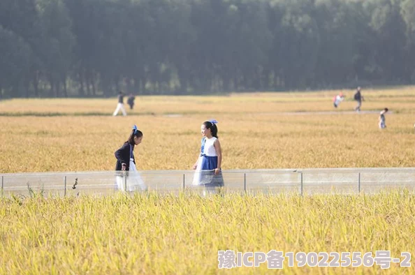 萌宠美食街小游戏深度攻略：揭秘最新高效消除蔬菜技巧与必胜策略，内含爆料信息！