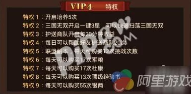 梦幻无间2025年最新VIP价格表及升级攻略详解，爆料助你高效提升游戏体验