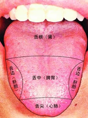 舌头好厉害越吸越舒服新型ASMR助眠神器测评爆火