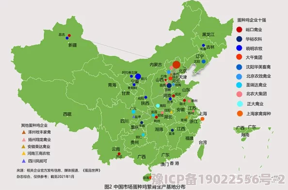 深度解析在《辐射4》中，玩家应如何选择加入的阵营及其影响