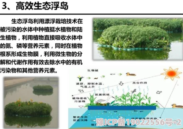 2025年热门生态修复技术：七日世界污染区高效植物种植攻略全分享